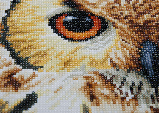 Lanarte Diamond Art Kit 8"X10.5"-Owl