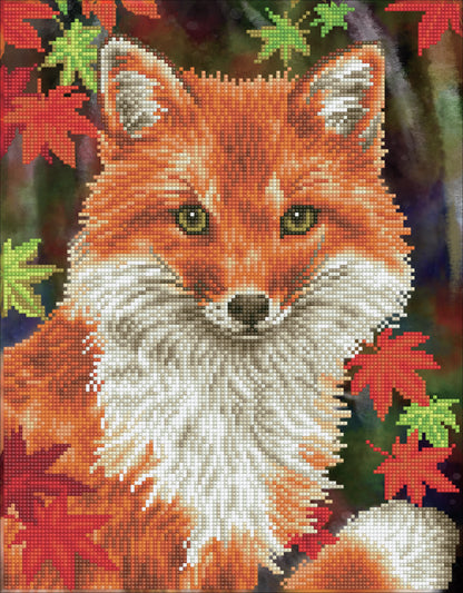 Diamond Dotz Diamond Embroidery Facet Art Kit 13"X17"-Foxy