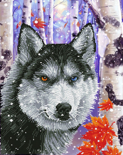 Diamond Dotz Diamond Embroidery Facet Art Kit 15"X19"-Forest Wolf