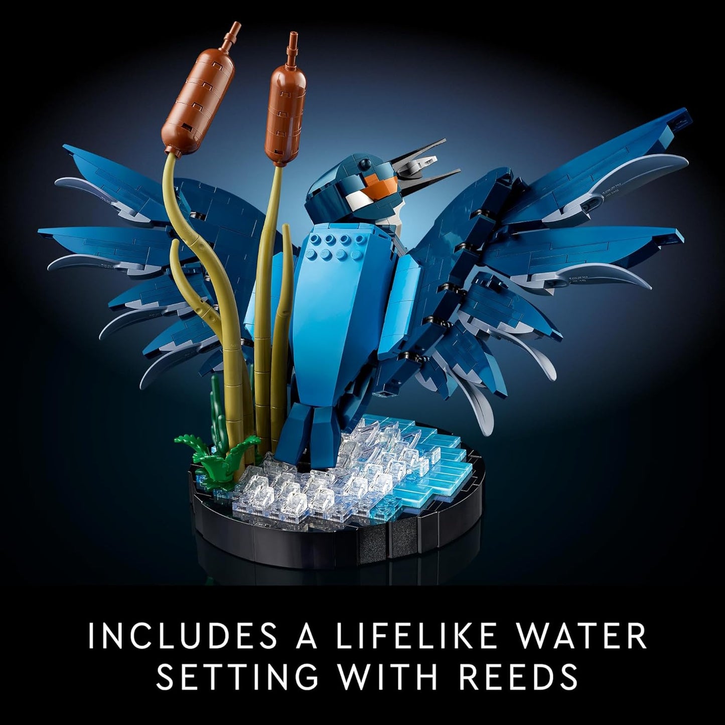 ICONS: 10331 Kingfisher Bird