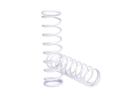 SPRINGS REAR (2)