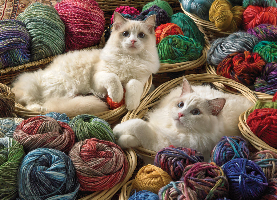 Ragdolls