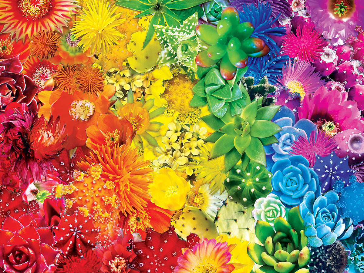Brilliance - Sun Succulents 550pc Puzzle