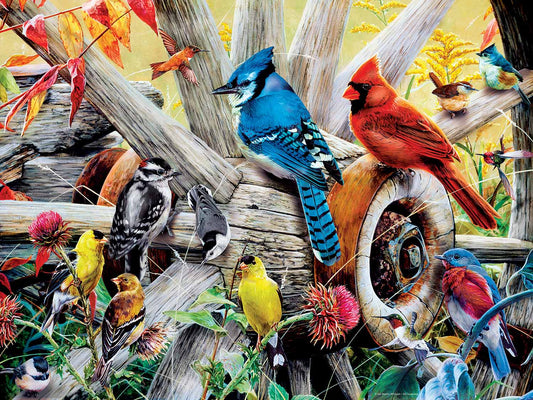 Backyard Birds 300 pc