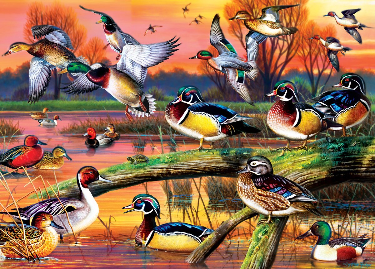 Audubon - Autumn Feathers 1000pc Puzzle