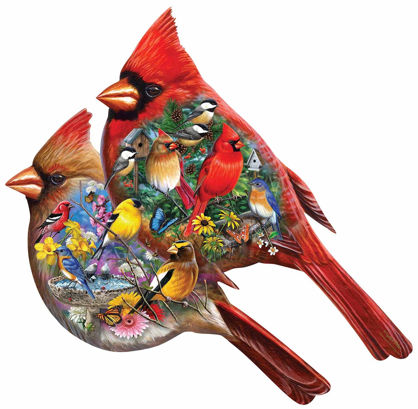 Cardinals 1000 pc