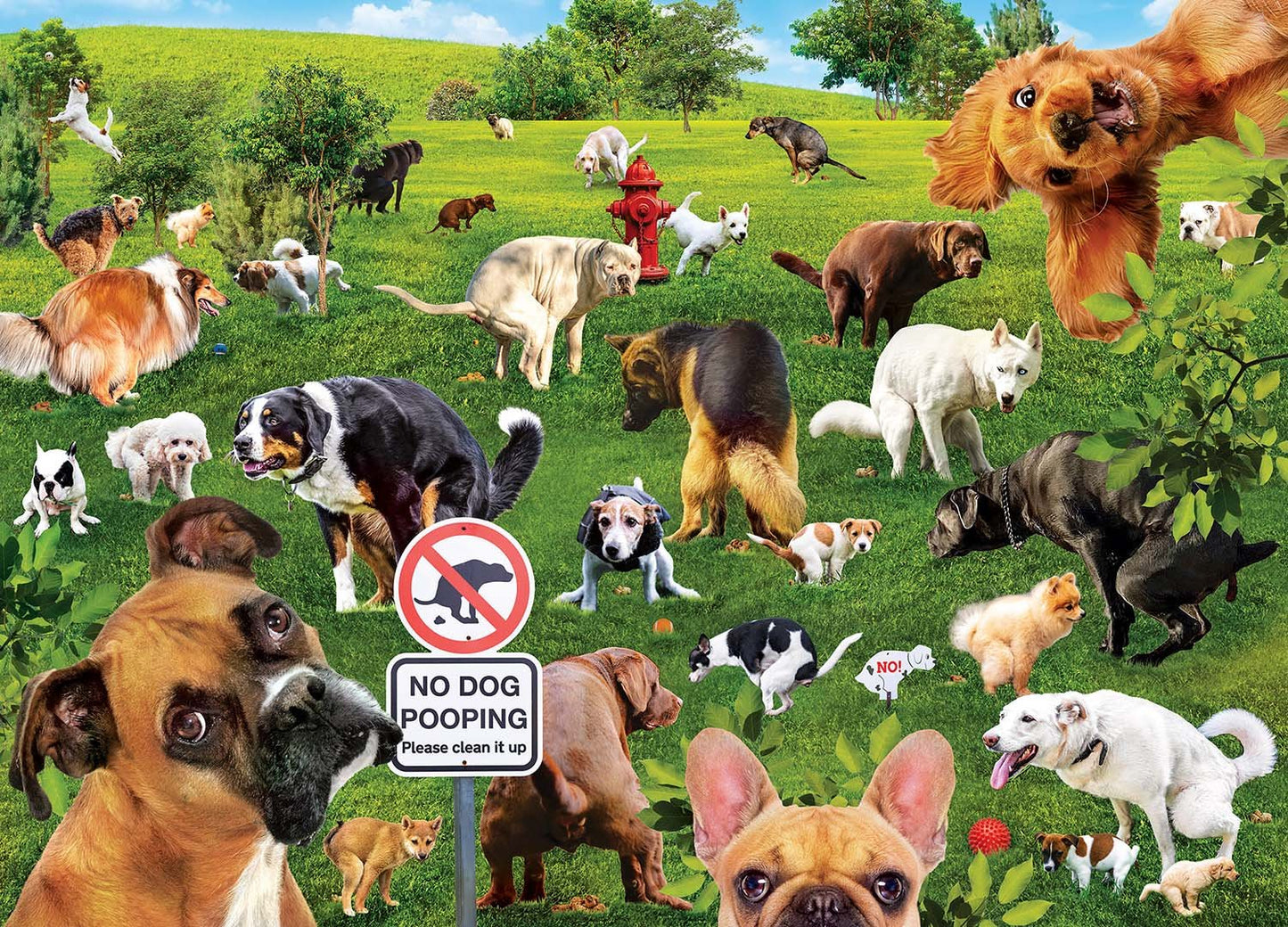 Super Dooper Poopers 1000 pc