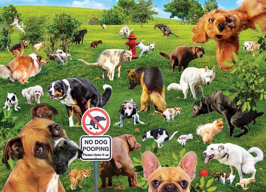 Super Dooper Poopers 1000 pc