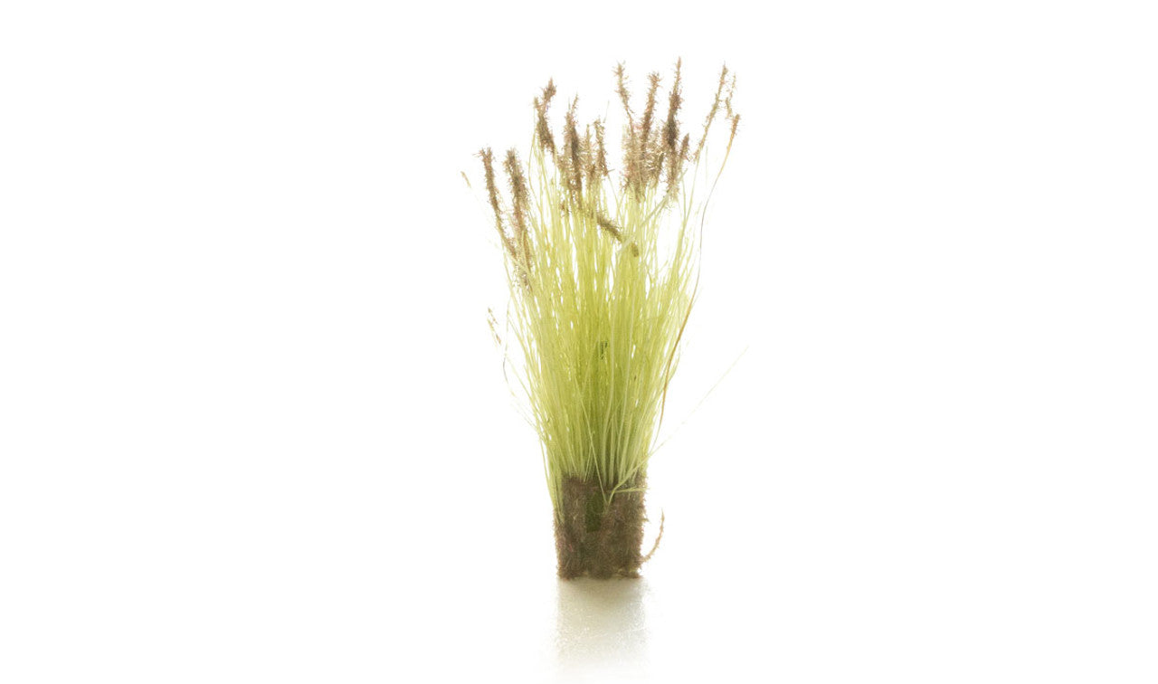 CATTAILS TUFTS