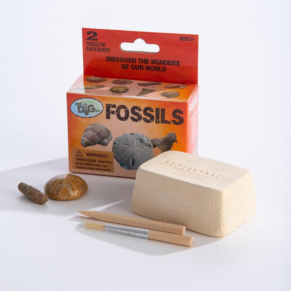 Fossils - Mini Excavation Kit