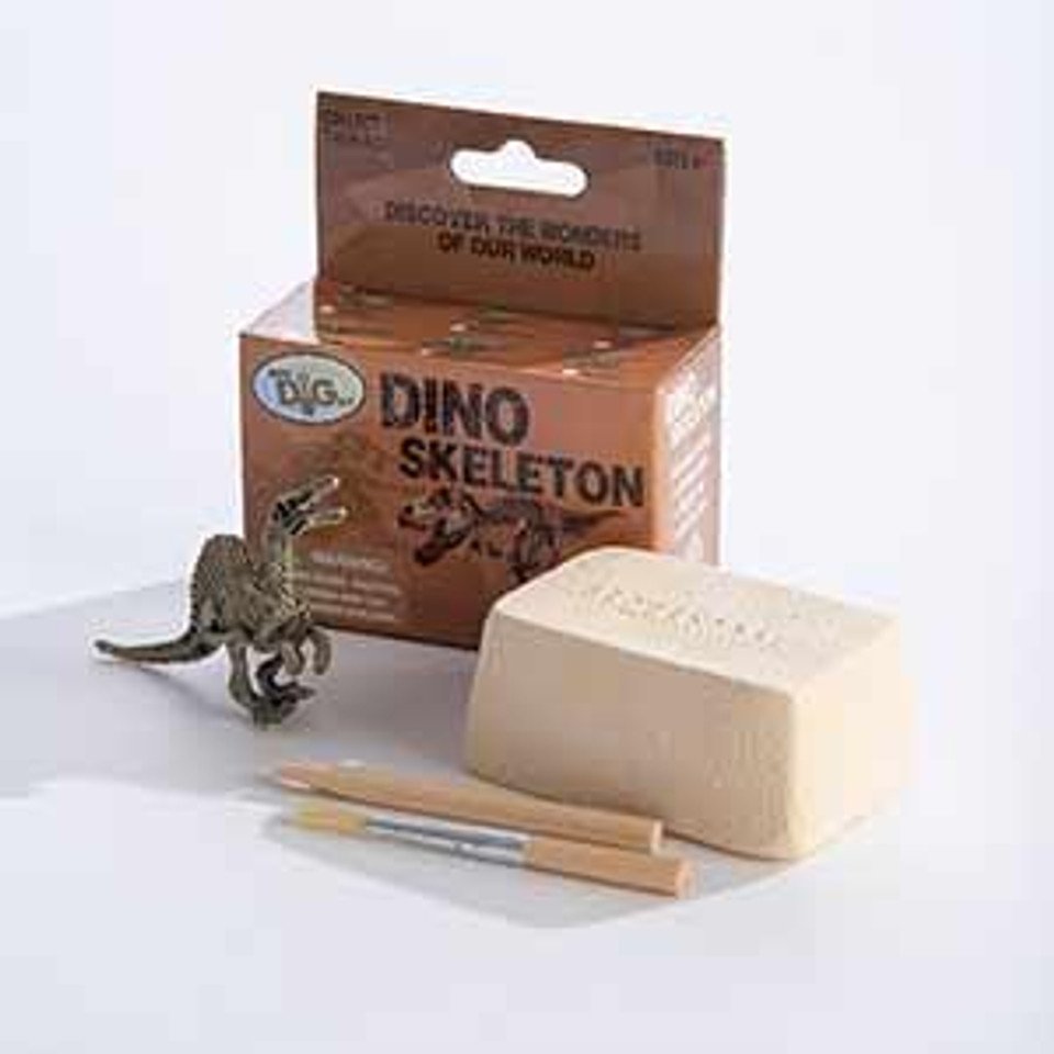 Dino Skeletons - Mini Excavation Kit