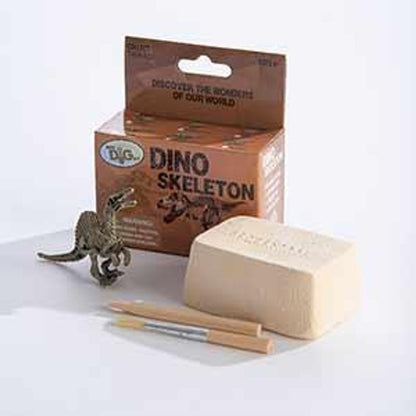 Dino Skeletons - Mini Excavation Kit