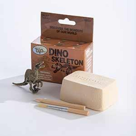 Dino Skeletons - Mini Excavation Kit