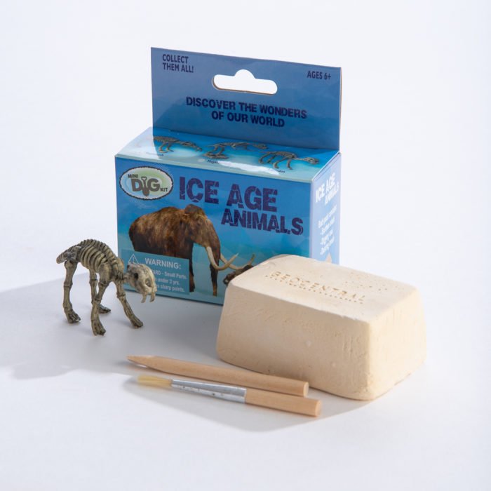 Ice Age Animals - Mini Excavation Kit