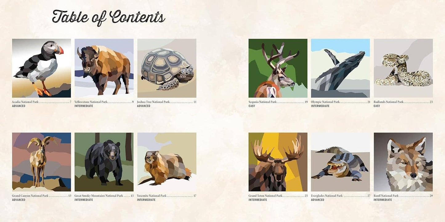 Fox Chapel Publishing - National Parks of N.America AMAZING ANIMALS Sticker Painting