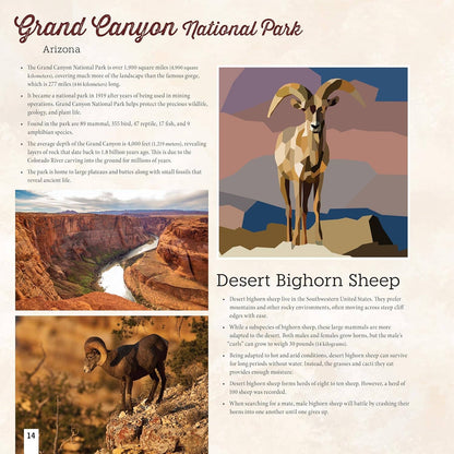 Fox Chapel Publishing - National Parks of N.America AMAZING ANIMALS Sticker Painting