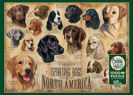 Sporting Dogs