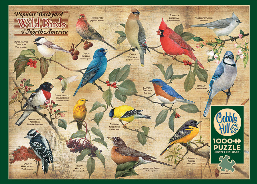Popular Backyard Wild Birds of N.A.