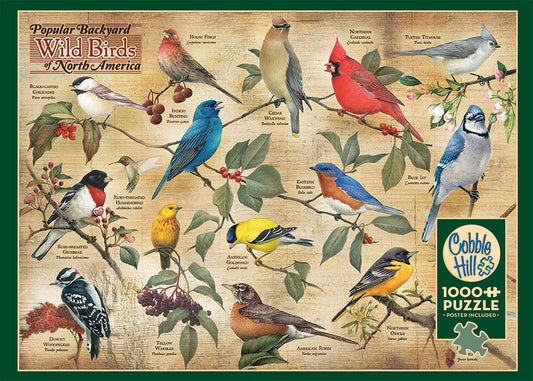 Popular Backyard Wild Birds of N.A.
