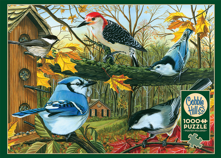 Blue Jay and Friends