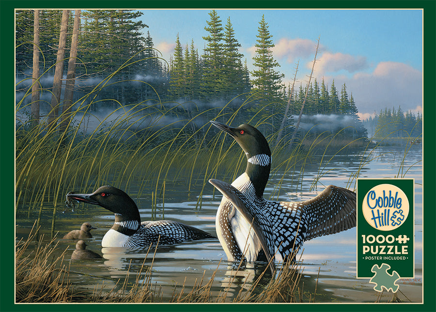 Common Loons
