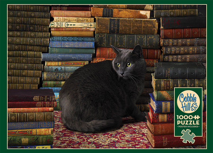 Library Cat