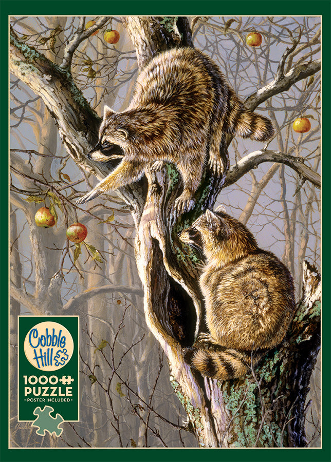 Ringtail Raiders