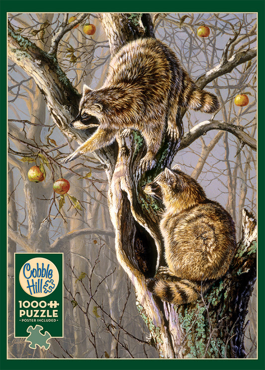 Ringtail Raiders