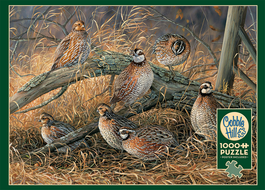 Quail