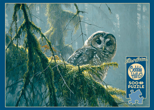 Mossy Branches - Spotted Owl