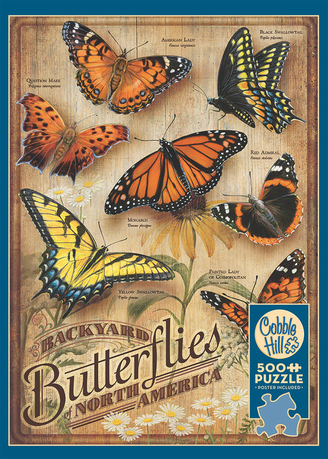 Backyard Butterflies