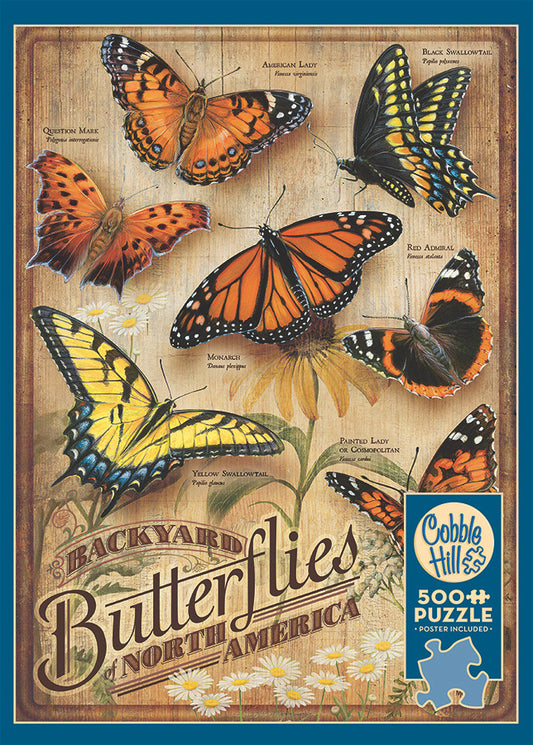 Backyard Butterflies