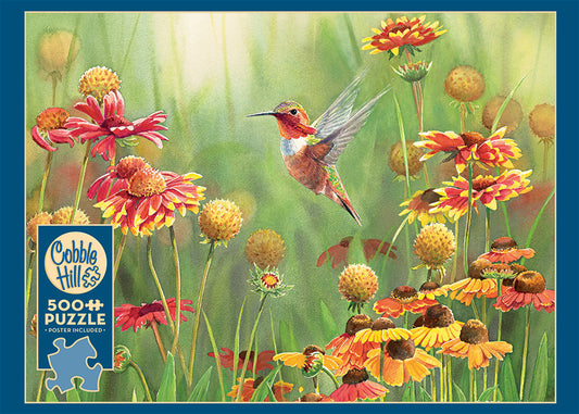 Rufous Hummingbird