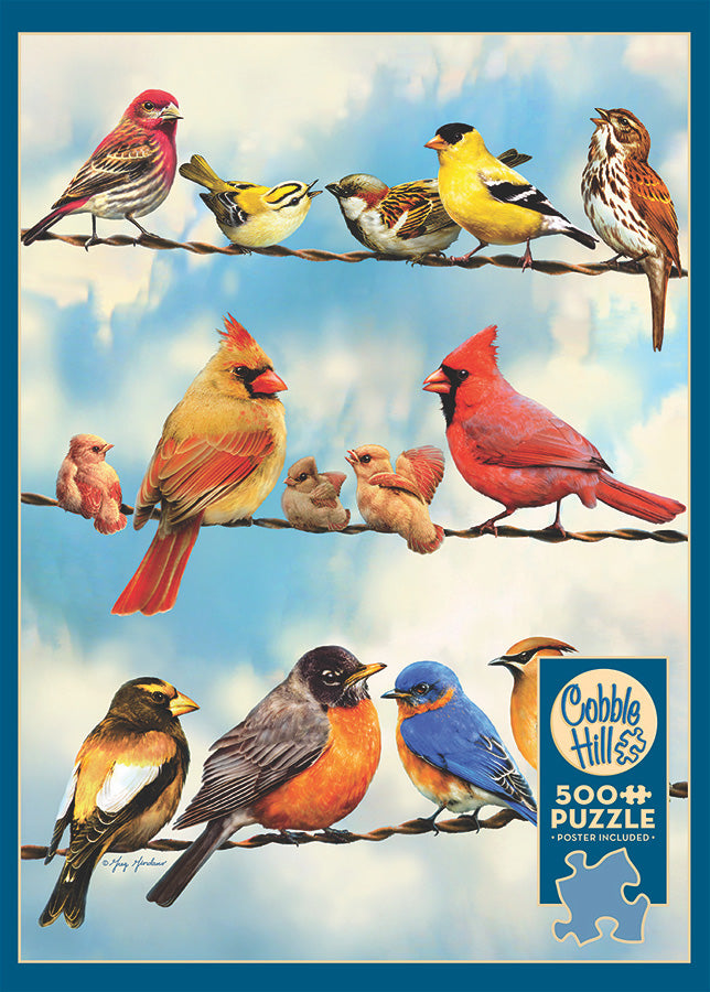 Birds on a Wire