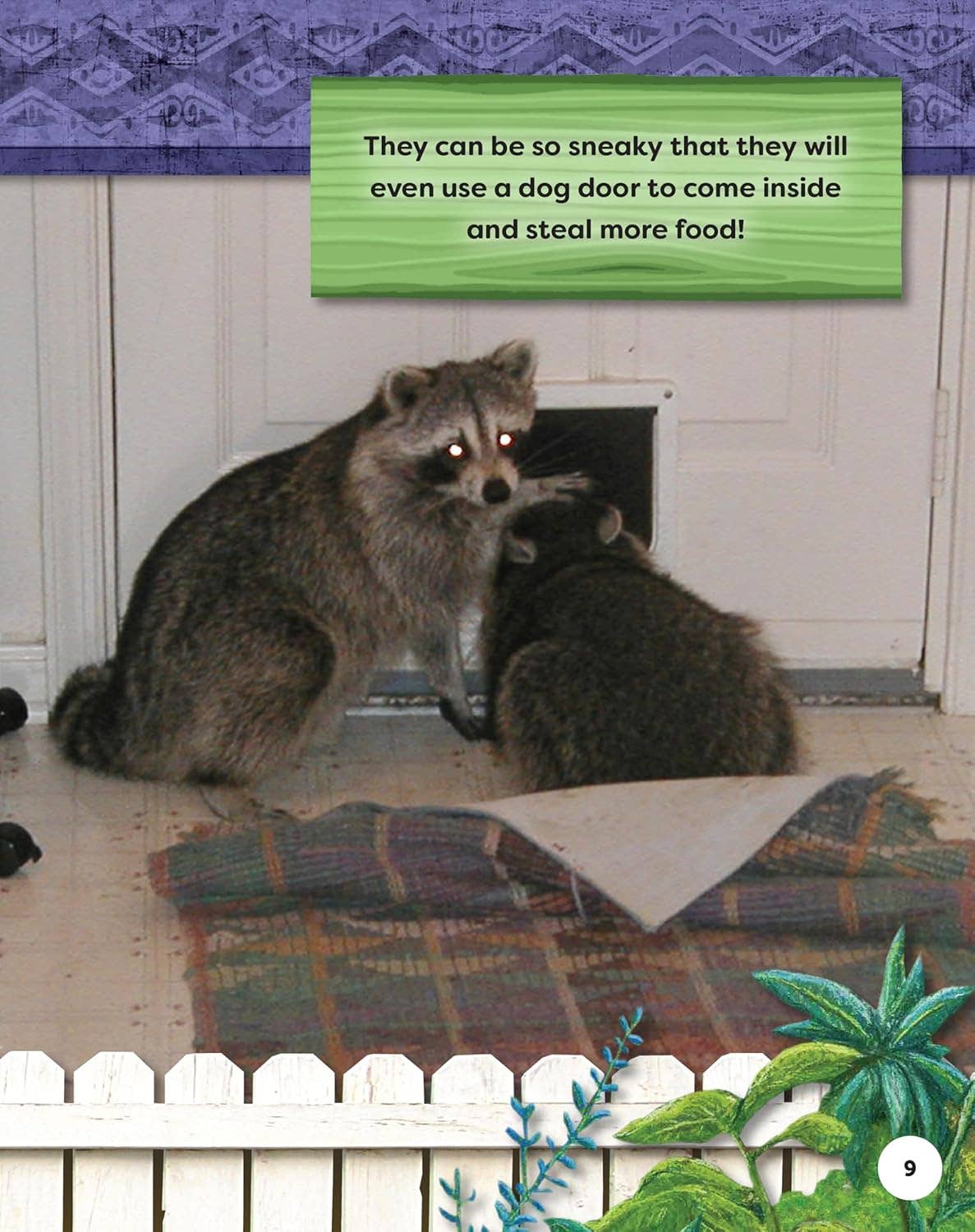 Fox Chapel Publishing - Kids' Backyard Safari:  RACCOONS (HC) - Explore Their World