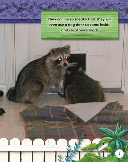 Fox Chapel Publishing - Kids' Backyard Safari:  RACCOONS (HC) - Explore Their World