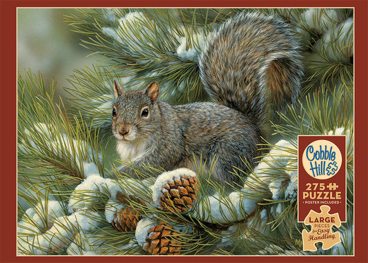 Gray Squirrel