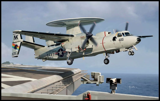 12623 E-2C VAW-113 USN Black Eagles