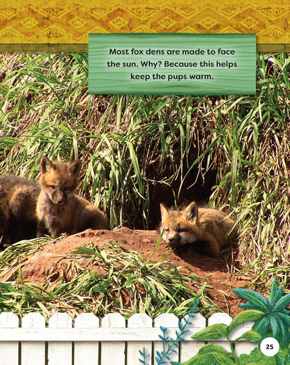 Fox Chapel Publishing - Kids' Backyard Safari: Red Foxes (HC) - Explore Their World