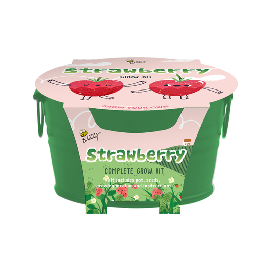 Kids Mini Painted Basin