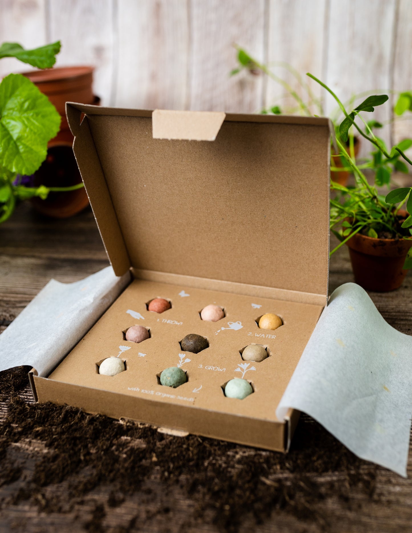 Blossombs - Medium Box