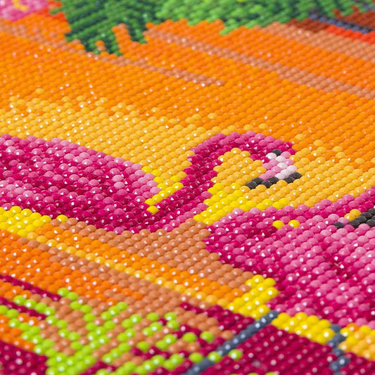 CA Mounted Kit (Med): Fancy Flamingoes