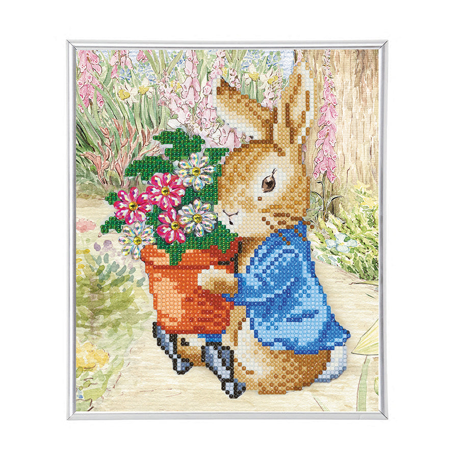 CA Silver Frame Kit: Peter Rabbit