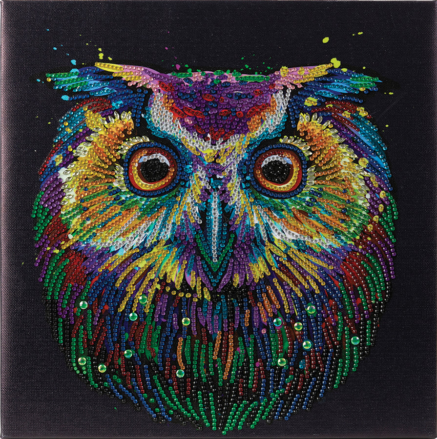 CA Mounted Kit (Med): Nocturnal Wonder