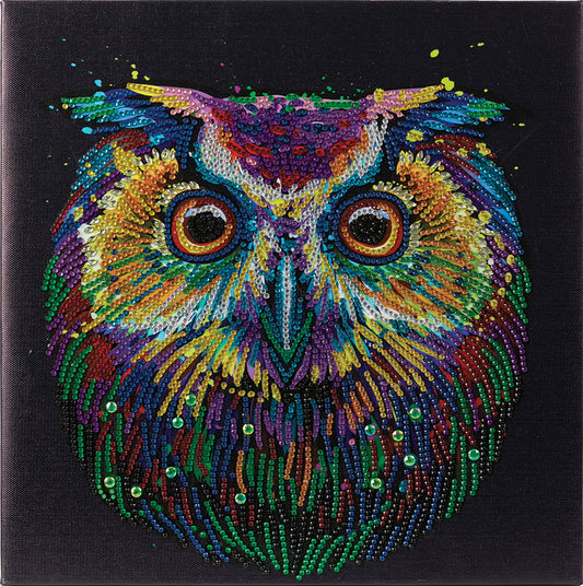 CA Mounted Kit (Med): Nocturnal Wonder
