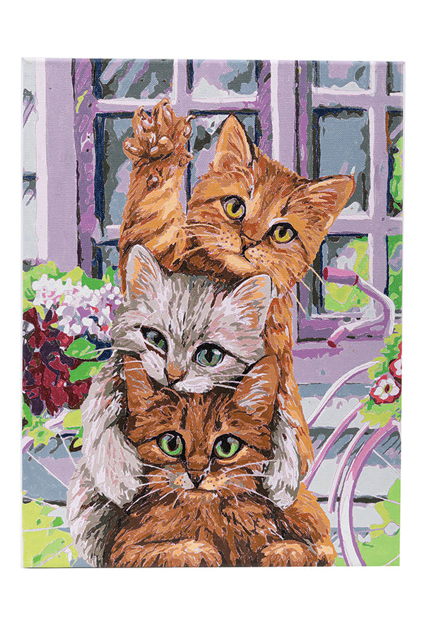 CA PBN (Large): Hi Kittens