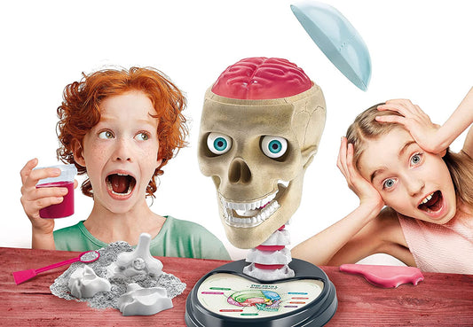 Crazy Anatomy Scientific Kit for Children-Ages 8+