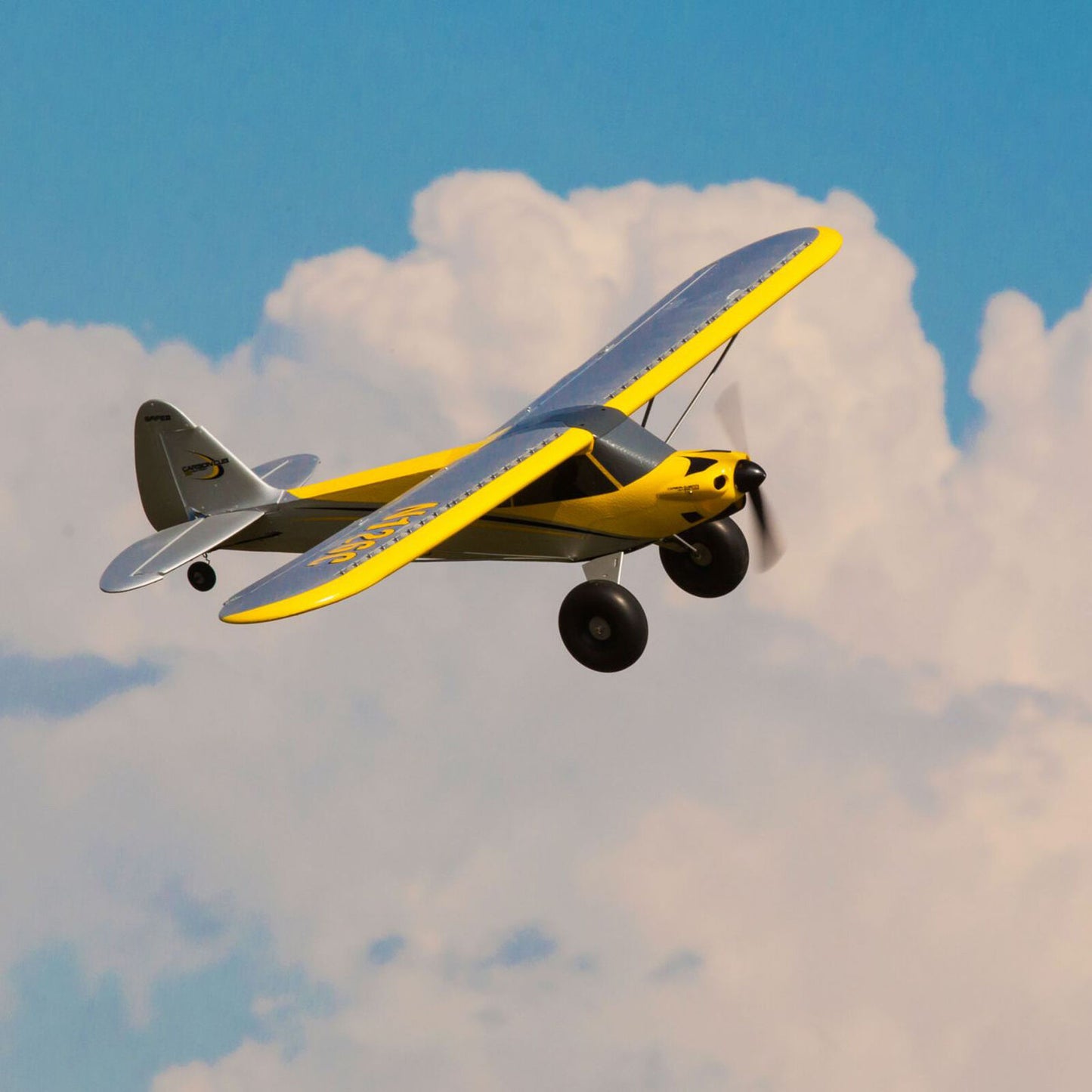 Carbon Cub S 2 1.3m Chandra Patey Limited Edition RTF