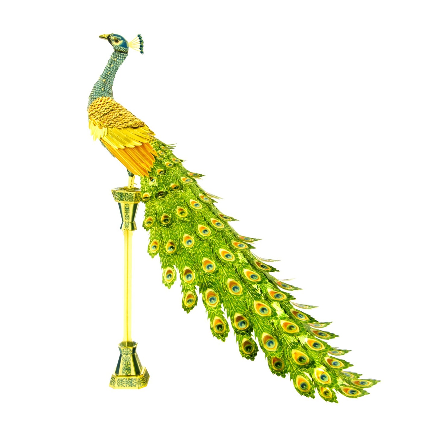 PREMIUM SERIES PEACOCK