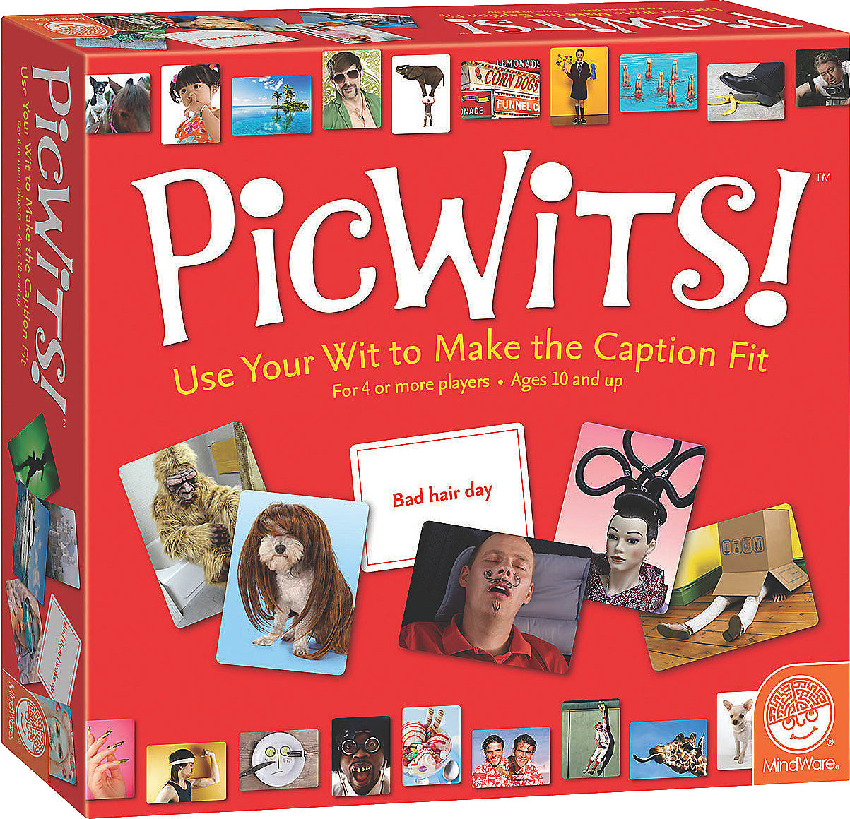 PICWITS